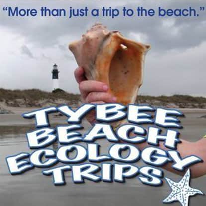 Tybee Ecology Trips
